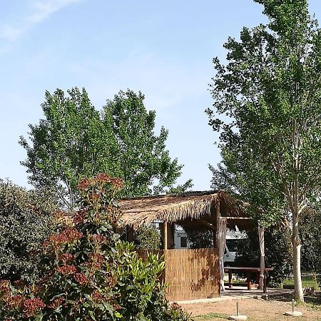 Bnatural Glamping Naturista/Nudista Baratti Extérieur photo