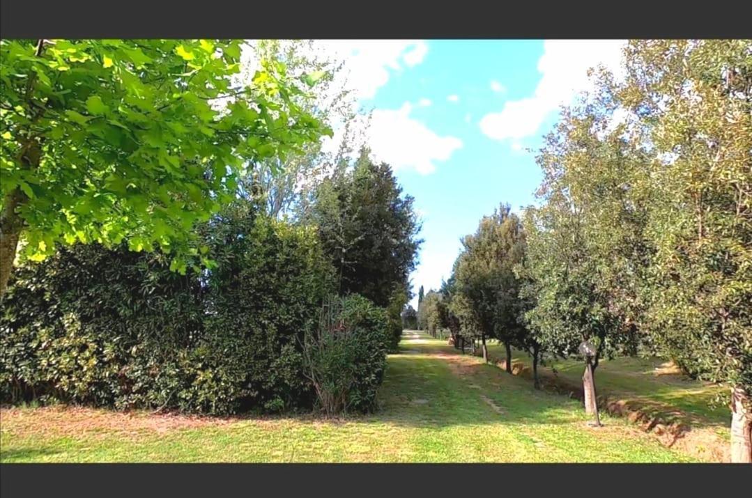 Bnatural Glamping Naturista/Nudista Baratti Extérieur photo