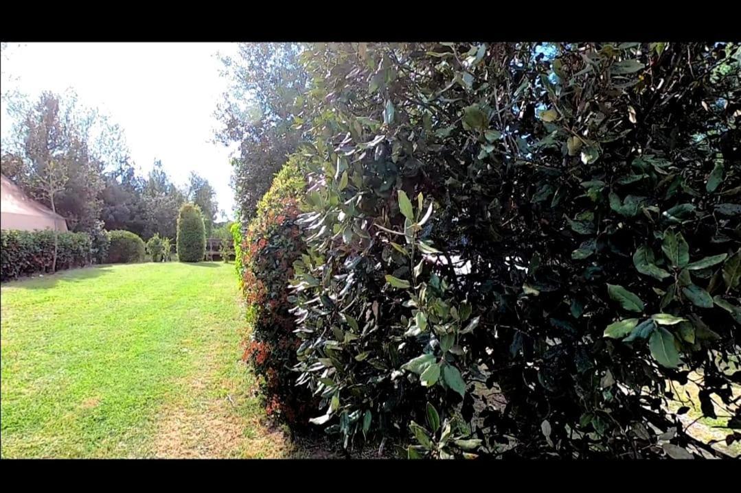 Bnatural Glamping Naturista/Nudista Baratti Extérieur photo