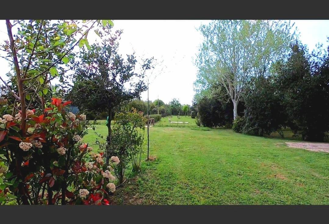 Bnatural Glamping Naturista/Nudista Baratti Extérieur photo