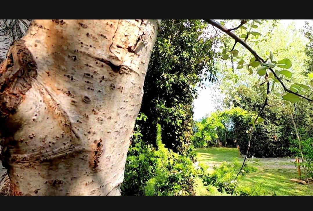 Bnatural Glamping Naturista/Nudista Baratti Extérieur photo
