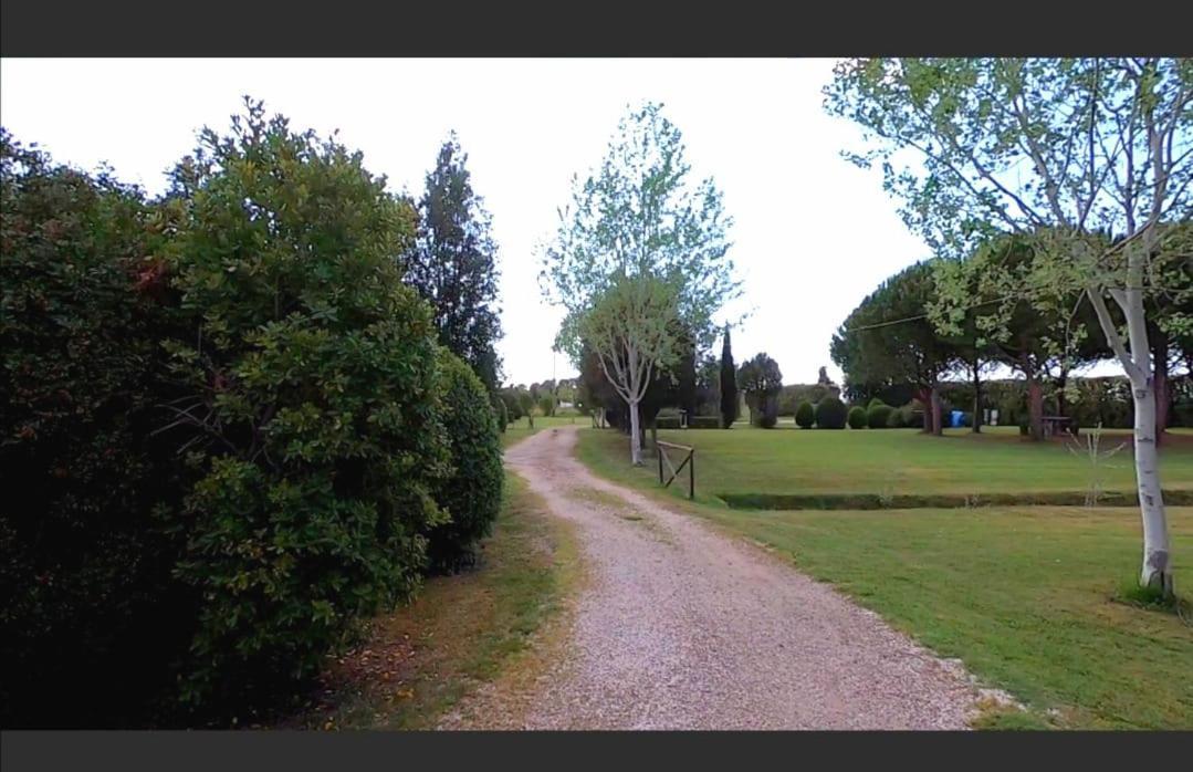 Bnatural Glamping Naturista/Nudista Baratti Extérieur photo