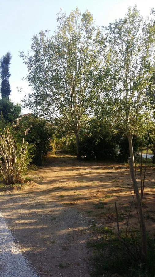 Bnatural Glamping Naturista/Nudista Baratti Extérieur photo