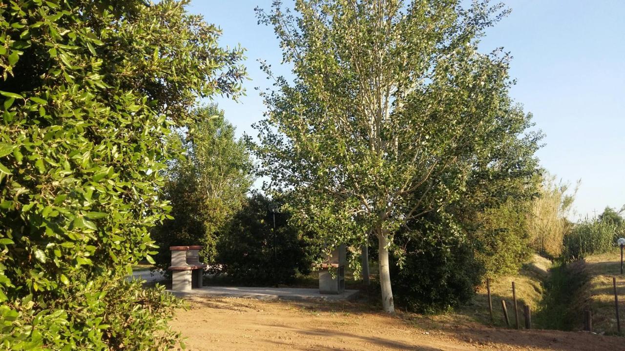 Bnatural Glamping Naturista/Nudista Baratti Extérieur photo