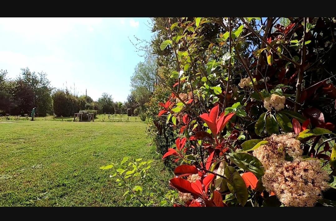 Bnatural Glamping Naturista/Nudista Baratti Extérieur photo